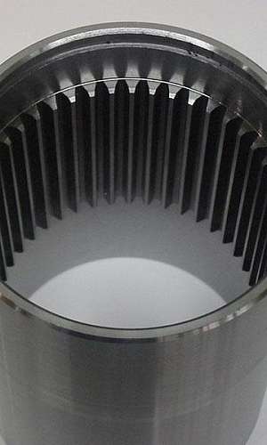 Bucha estriada Bucha estriada